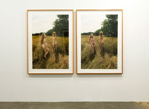 Desire-for-Anima-Yigal-Ozeri_mike-weiss-gallery_yatzer_2